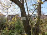 1267_n32s200324.jpg