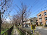 1268_349s200324.jpg