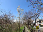 1271_n30s200324.jpg