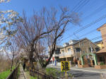 1274_347s200324.jpg