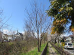 1280_n27s200324.jpg