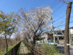1284_341s200324.jpg