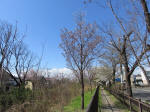 1287_n23s200324.jpg