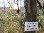 1289_n23s200324.jpg