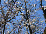 1309_329s200324.jpg