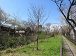 1320_kn54s200324.jpg
