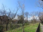 1335_kn51s200324.jpg