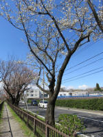 1338_319s200324.jpg