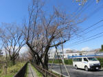 1344_318s200324.jpg