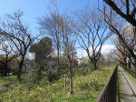 1347_kn49s200324.jpg