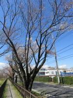 1350_317s200324.jpg