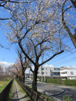 1356_315s200324.jpg