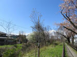 1359_kn47s200324.jpg