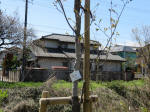 1361_kn47s200324.jpg