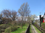 1368_kn44s200324.jpg