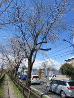1388_302s200324.jpg