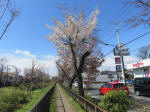 1400_297s200324.jpg