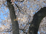 1401_297s200324.jpg