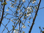 1404_kn39s200324.jpg