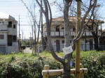 1411_kn38s200324.jpg