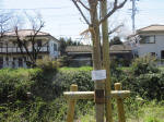 1416_kn72s200324.jpg