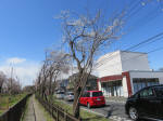 1417_291s200324.jpg