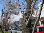 1419_291s200324.jpg