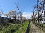 1420_kn70s200324.jpg