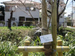1422_kn70s200324.jpg