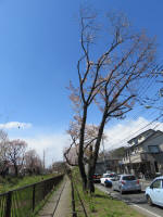 1426_286s200324.jpg