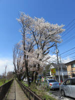 1432_282s200324.jpg