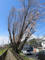 1435_281s200324.jpg