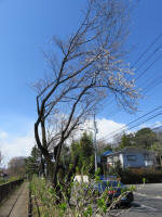 1441_279s200324.jpg