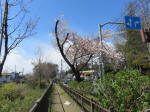 1447_276s200324.jpg