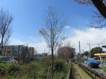 1450_kn32s200324.jpg