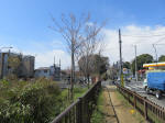1453_kn31s200324.jpg