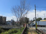 1456_n61s200324.jpg