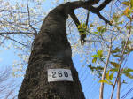 1466_260s200324.jpg