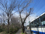 1467_259s200324.jpg