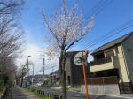1475_248s200324.jpg