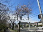 1479_242s200324.jpg