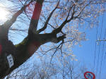 1480_242s200324.jpg