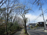 1481_238s200324.jpg