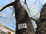 1491_224s200324.jpg