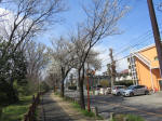 1494_218s200324.jpg