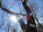 1495_218s200324.jpg