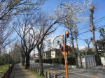 1498_216s200324.jpg