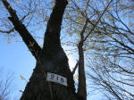 1499_216s200324.jpg