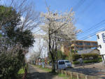 1500_207s200324.jpg
