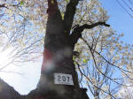1501_207s200324.jpg